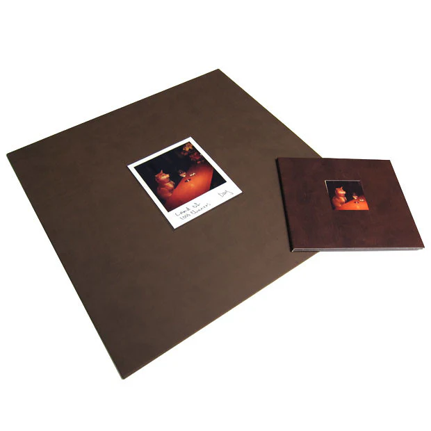 DJ Day: Land of 1000 Chances Deluxe CD / LP