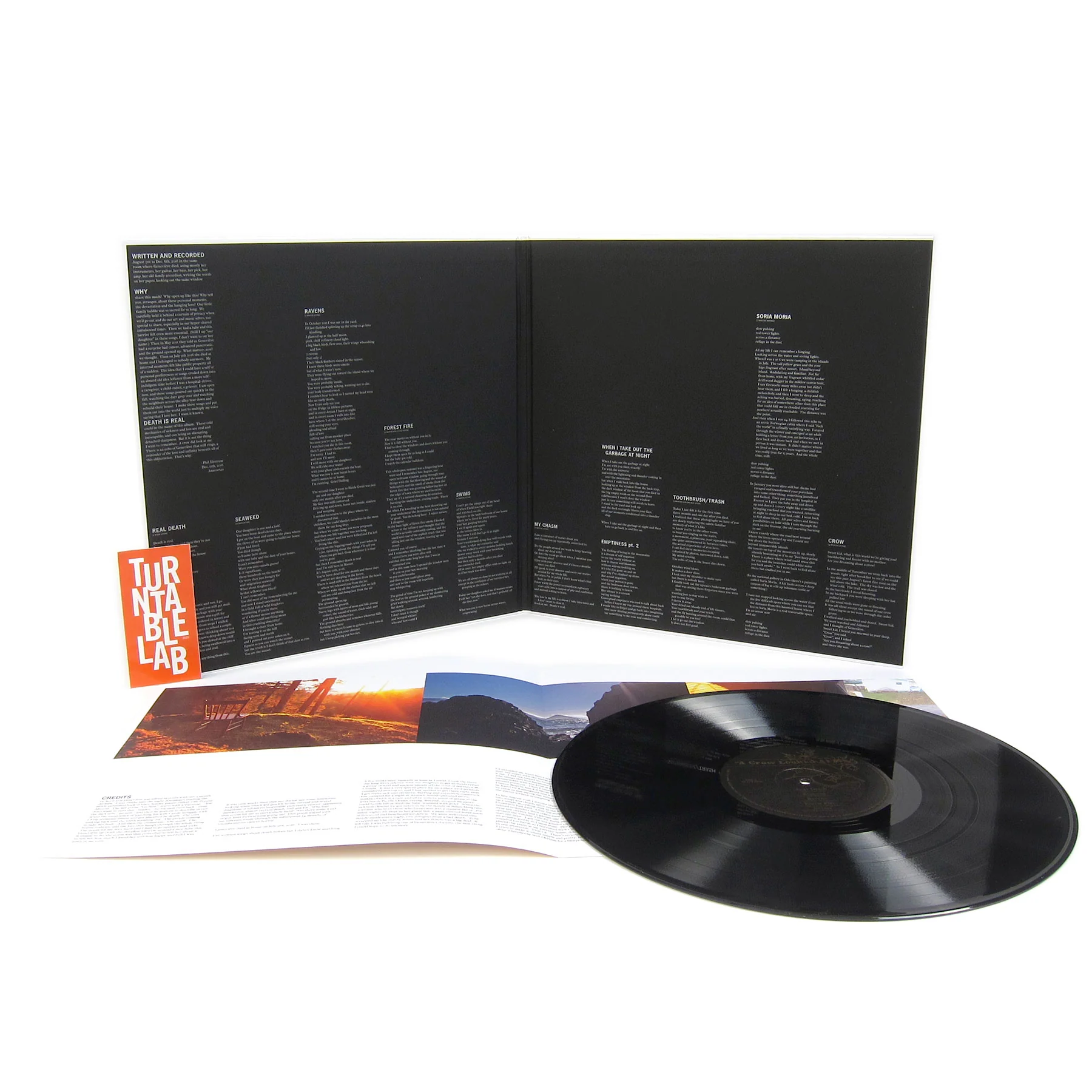 Mount Eerie: A Crow Looked At Me Vinyl LP - Image 2
