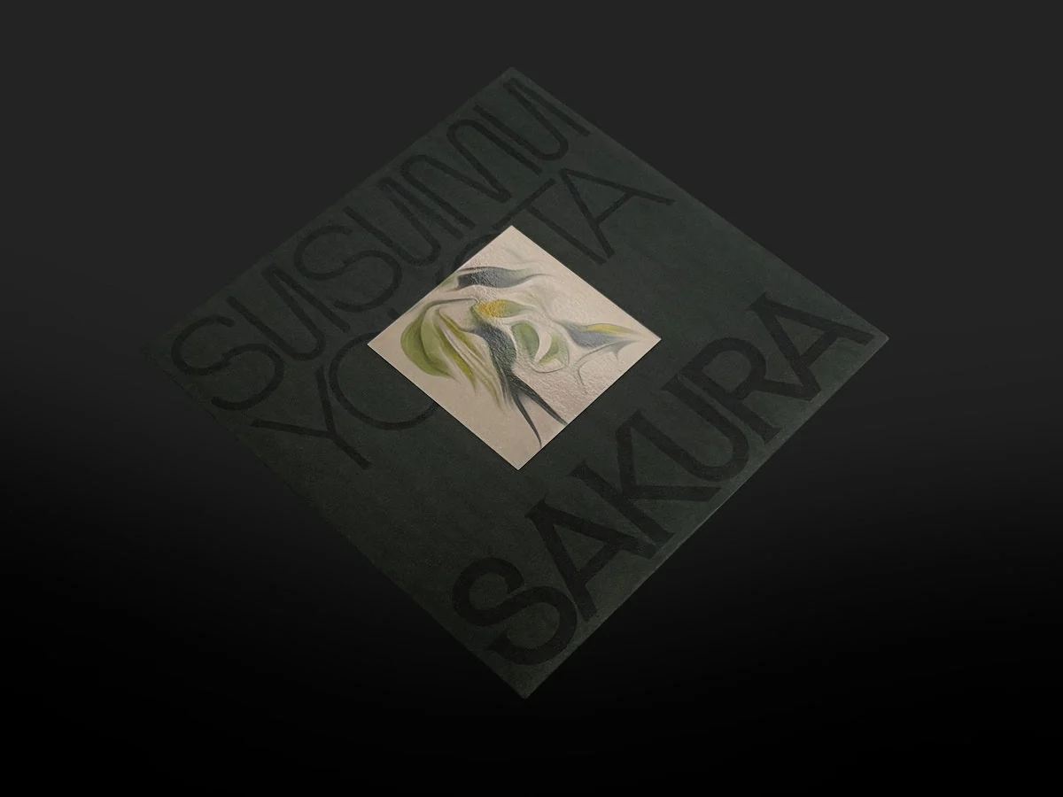 Susumu Yokota: Grinning Cat - Skintone Edition (Colored Vinyl) Vinyl 2LP - Image 6