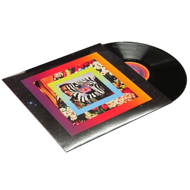 Van She: Idea Of Happiness (w/ MP3) LP